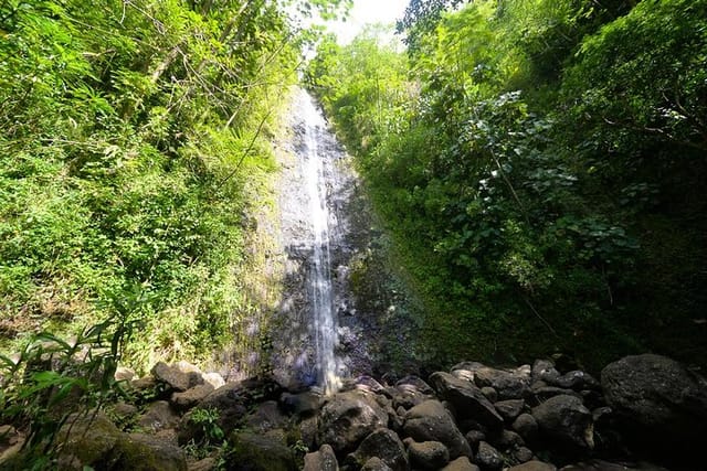 Hawaiian Waterfall Hike - Photo 1 of 8